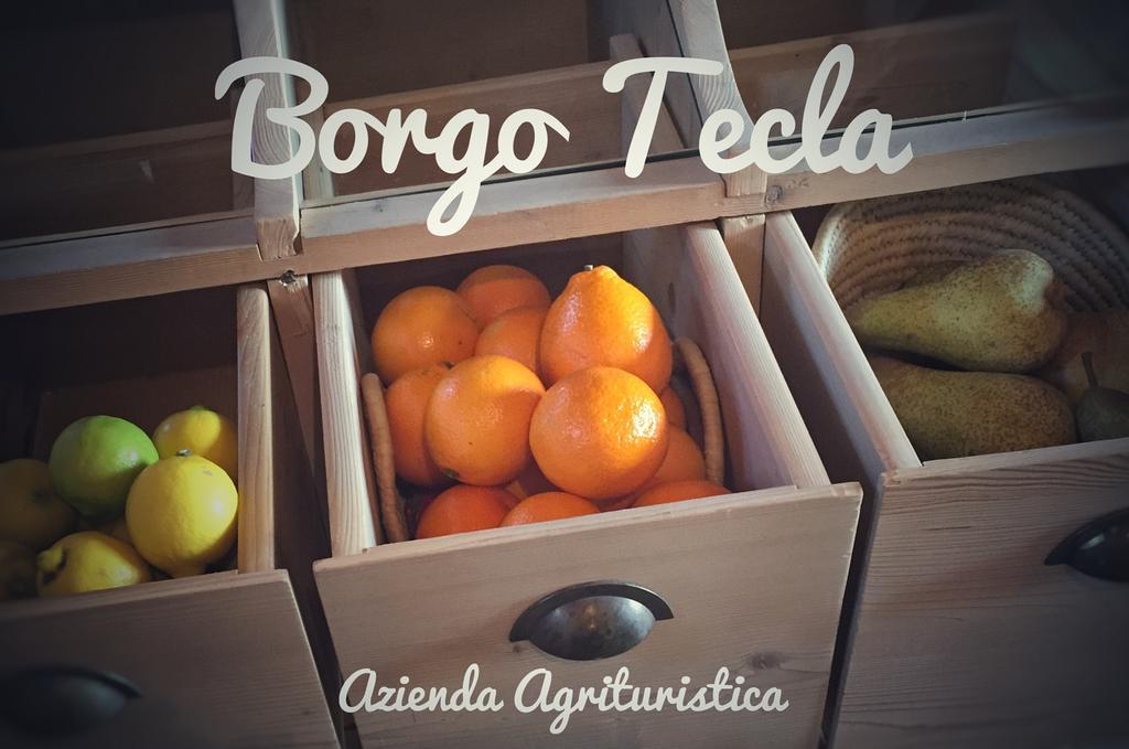 Agriturismo Borgo Tecla Rosà 外观 照片