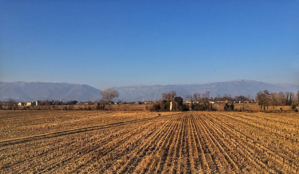 Agriturismo Borgo Tecla Rosà 外观 照片