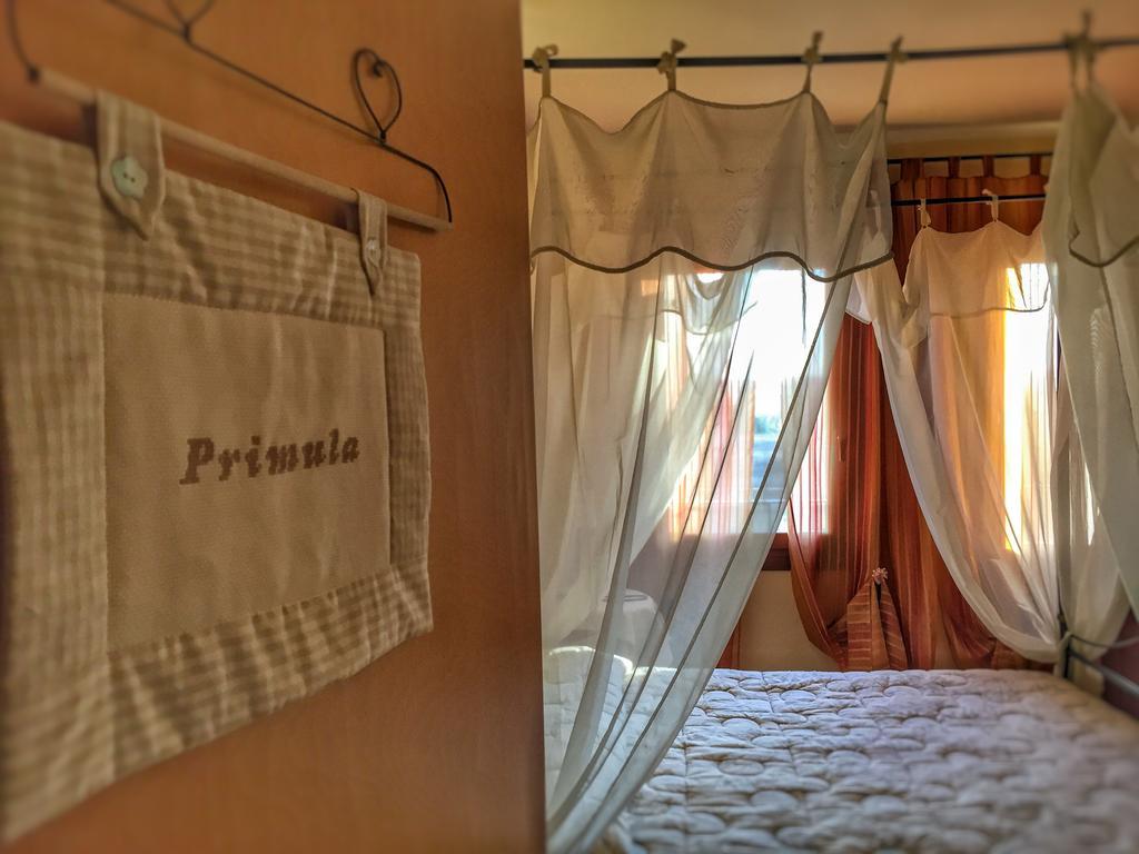 Agriturismo Borgo Tecla Rosà 外观 照片