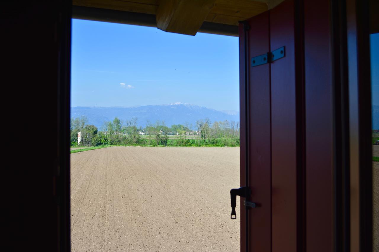 Agriturismo Borgo Tecla Rosà 外观 照片