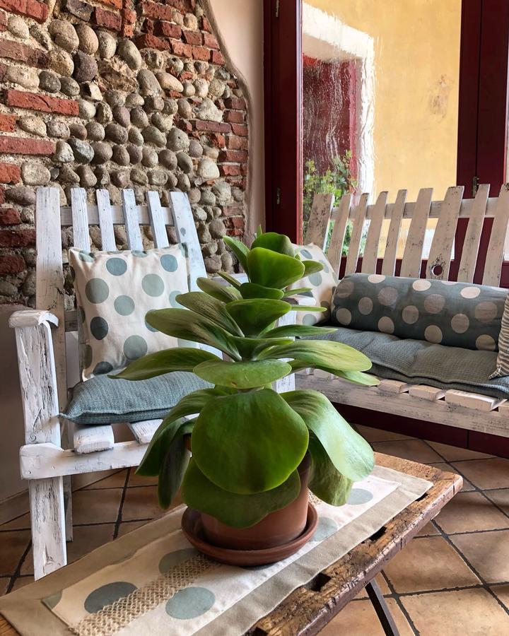 Agriturismo Borgo Tecla Rosà 外观 照片