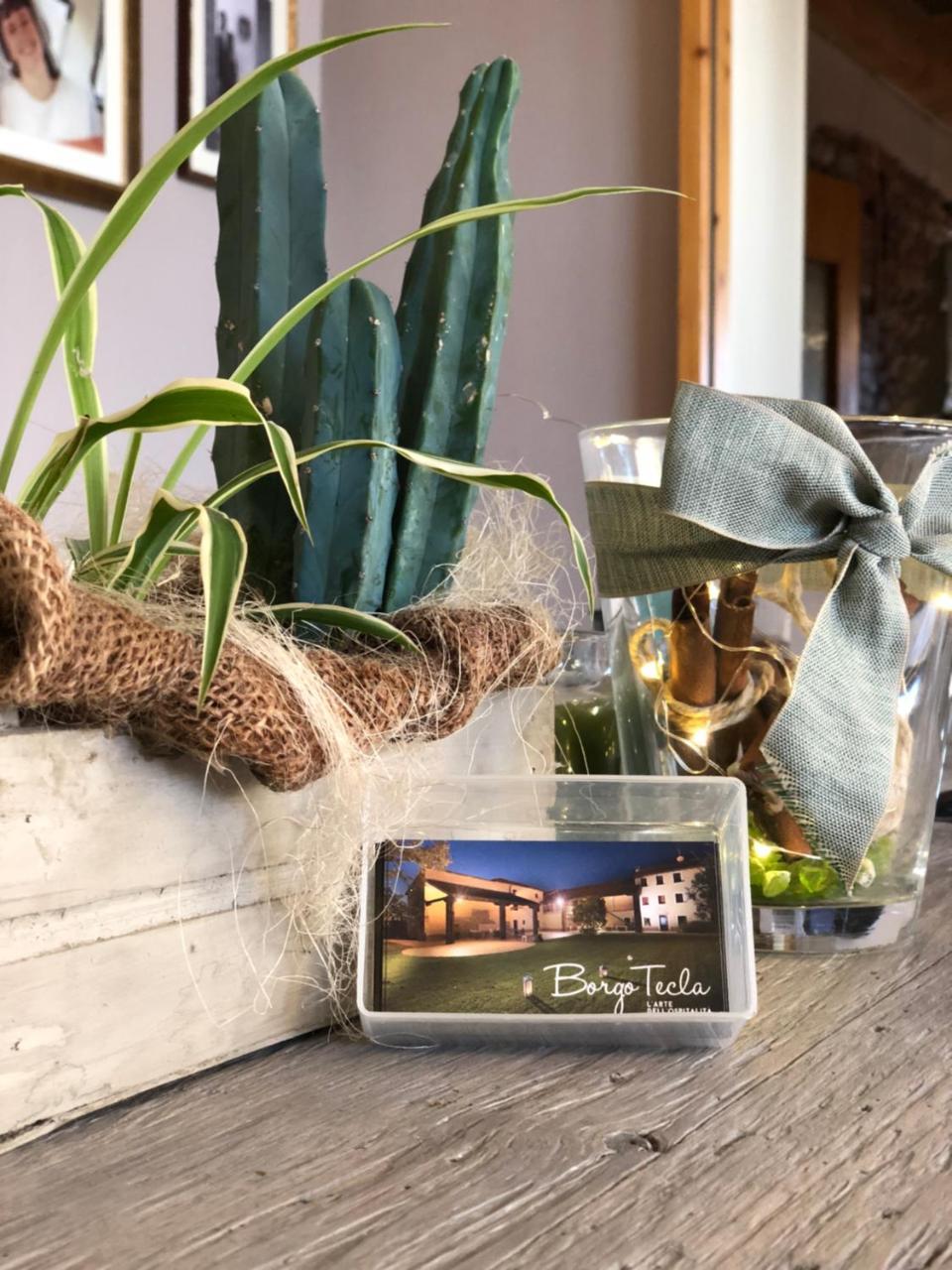 Agriturismo Borgo Tecla Rosà 外观 照片