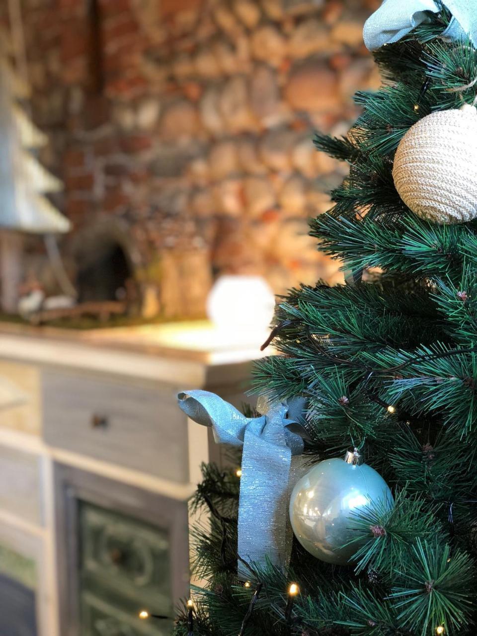 Agriturismo Borgo Tecla Rosà 外观 照片